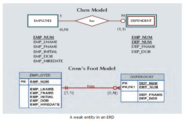 Types of Entities_ Strong and Weak Entities